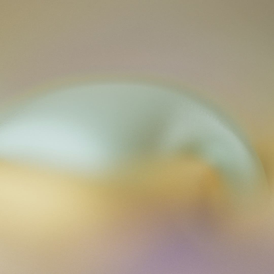 王星越白鹿联系解析:又爱又恨的宿舍日常引发热议